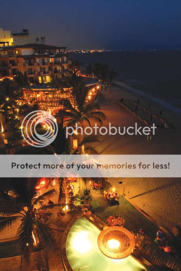 flamingos17.jpg The Beach at Night! image by amreyes1