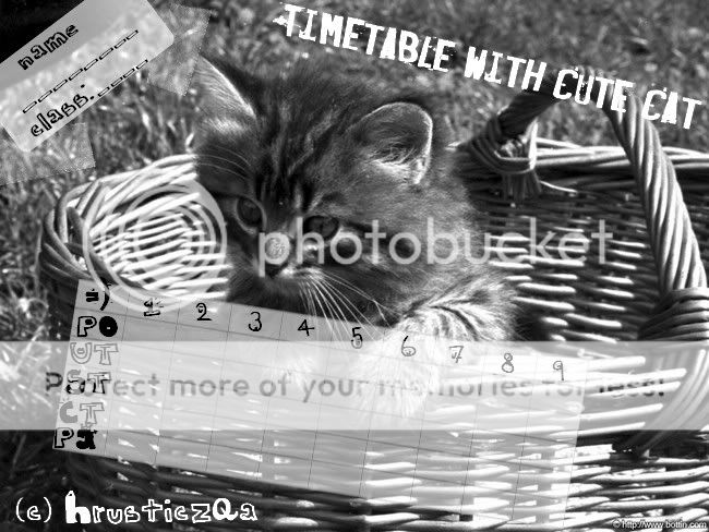 Photobucket Photobucket