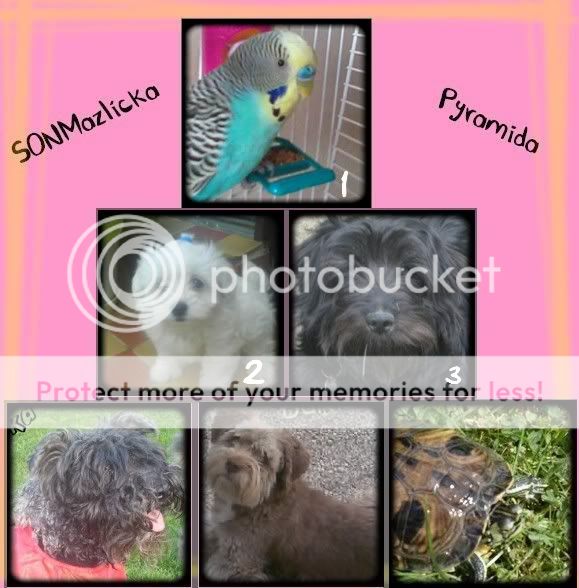 Photobucket Photobucket