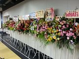 photo flowers_zps13dcb35a.jpg