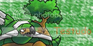 [Image: Testudosig.png]