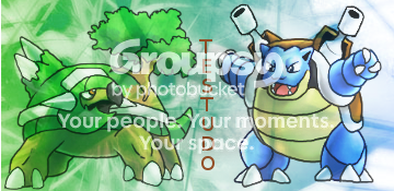 [Image: Turtlesigv2.png]
