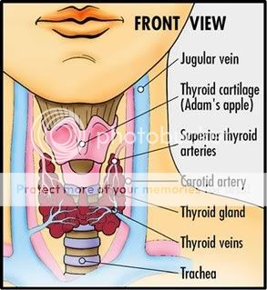 Think you've got a thyroid problem hindering weight loss? Here's an at 