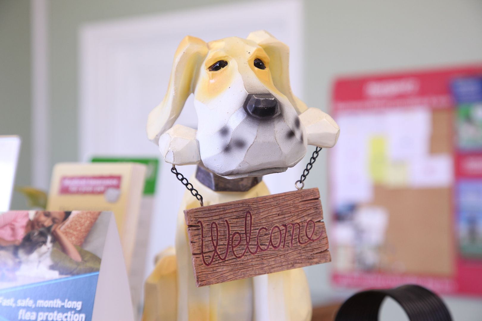 Pin on Critter Fixer Byron