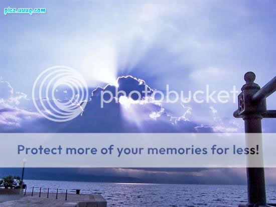 Nature Photo Picture