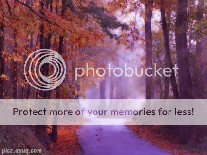 Nature Photo Picture