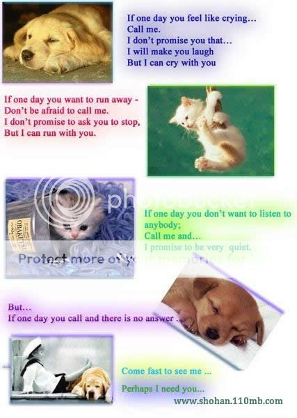 Poem Photo Picture