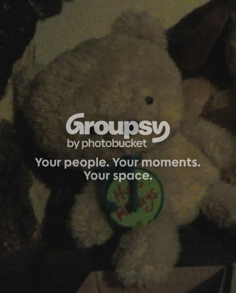 User Image