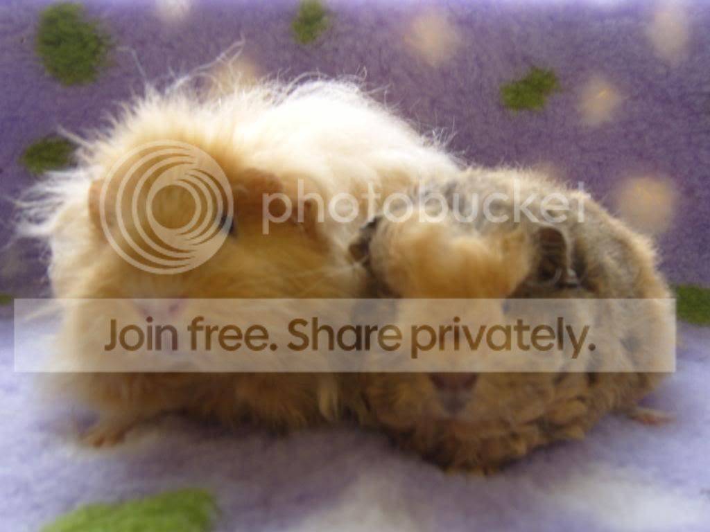 SS104427.jpg
